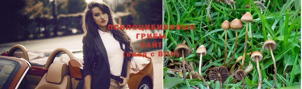 ALPHA PVP Волоколамск