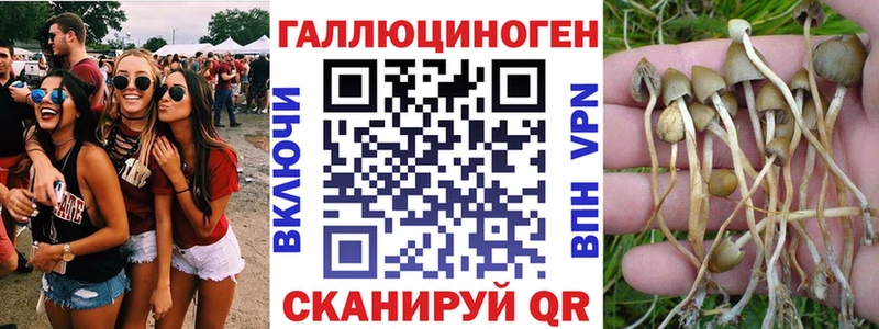Галлюциногенные грибы GOLDEN TEACHER  Купить где  Ужур 
